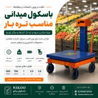 باسکول میدانی تره بار چیست؟ خرید باسکول میدانی